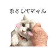 742630410