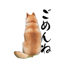 742635072