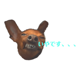 742636998