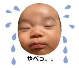 742643976