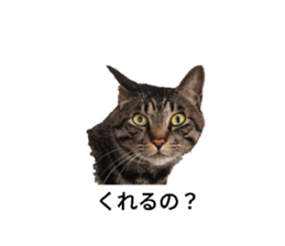 742657346