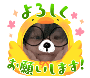 742668820