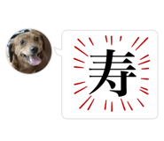 742680994