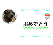 742680996