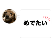 742681000