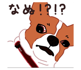742689844