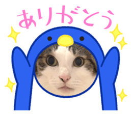 742714819