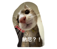 742724577