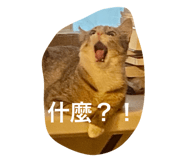 742724597