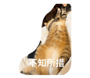 742724604