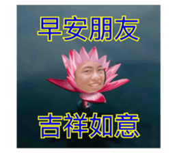 742743529