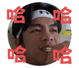 742743533