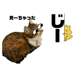 742746384