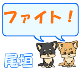 742748936