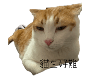 742751961