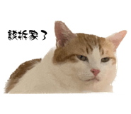 742751965