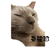 742751969