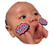 742762473
