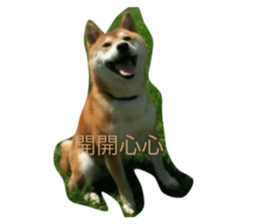 742762545