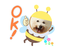 742762723