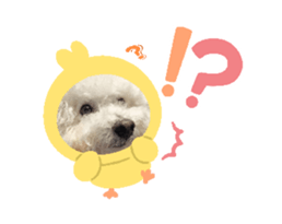 742762725