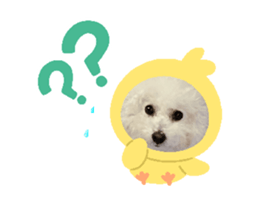 742762727
