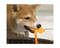 742765690