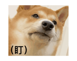 742765696
