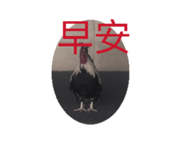 742766253