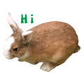 742776969