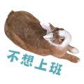 742776972