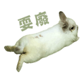742776974