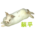 742776975