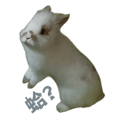 742776976