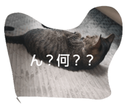 742777817