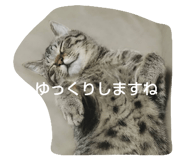 742777828