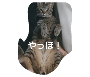742777838