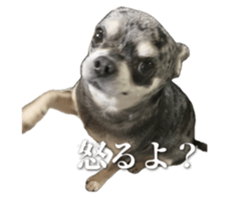 742779180