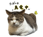 742783541