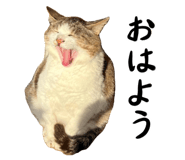 742783543