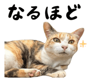 742783552