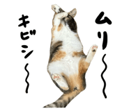 742783571