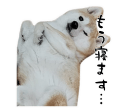 742790926