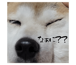 742790927
