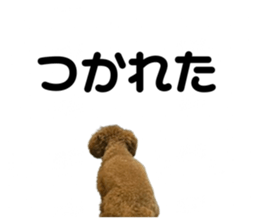 742801685