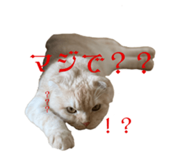 742811497