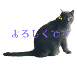 742811504