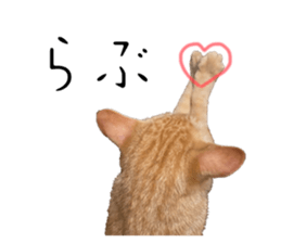 742812561