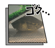 742822082