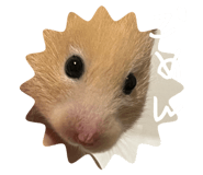 742822088